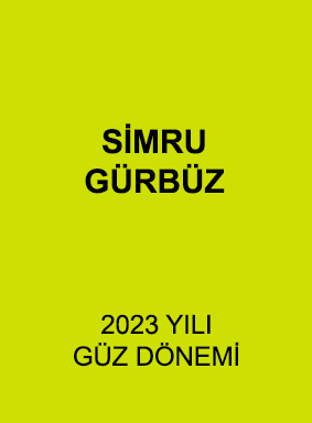Simru Gürbüz