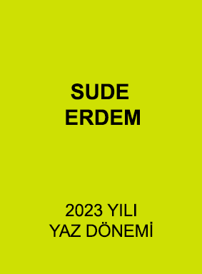 Sude Erdem